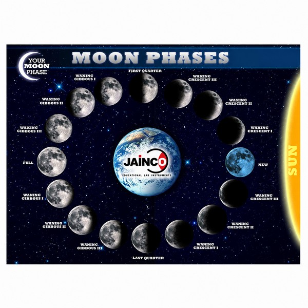 Phases of the Moon Chart